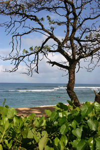 Scenic view of sea against blue sky