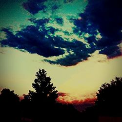 Silhouette of trees at sunset