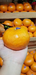 Close-up of hand holding orange fruit in market