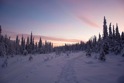 Snow covered field against sky during sunset