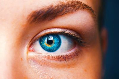 Close-up of woman eye