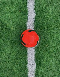 High angle view of golf ball on grassy field