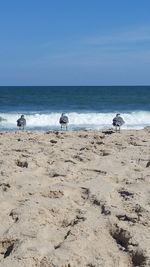 Scenic view of beach
