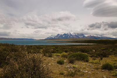 Scenic view of landscape against sky