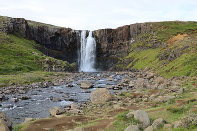 Scenic view of waterfall in forest