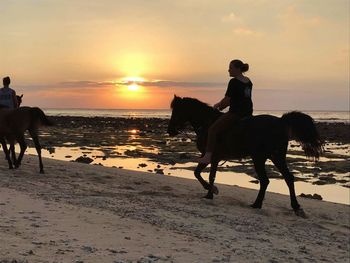 Silhouette woman riding horse on beach