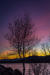 Silhouette bare tree by river against sky during sunset