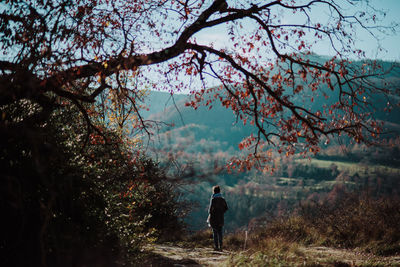 Rear view of man walking on mountain against sky