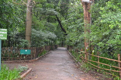 Trees along plants
