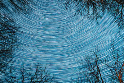 Full frame shot of palm tree