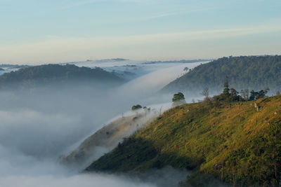 Scenic view of landscape against sky