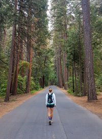 Rear view of woman riding on road in forest