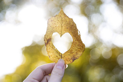 Close-up of hand holding heart shape leaf