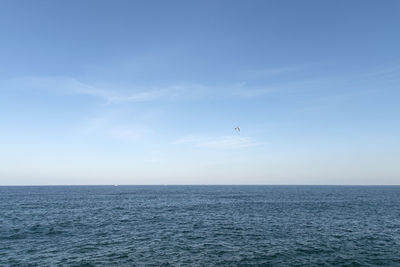 Scenic view of bird flying over sea against sky