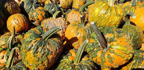 Full frame shot of pumpkins at market