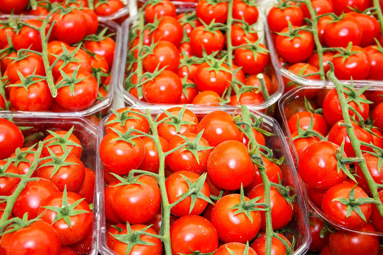 FULL FRAME SHOT OF TOMATOES