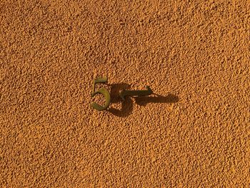 High angle view of toy on sand