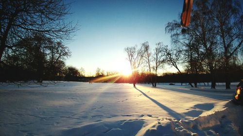 Snow covered trees against sky during sunset