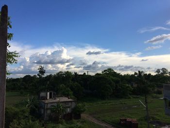 Trees on field against sky