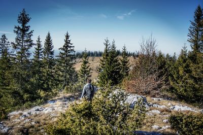 Rear view of person in forest against sky