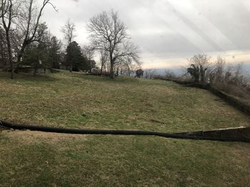 Bare trees on field against sky