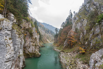 Scenic view of river amidst trees against sky