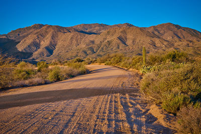 El oso road with warm morning light on the mountains in the background.