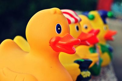 Close-up of toys toy