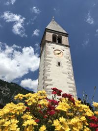 Low angle view of flowering plants by building against sky