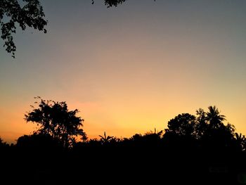 Silhouette trees against sky during sunset