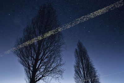 Low angle view of trees against sky