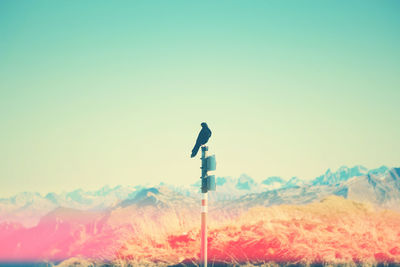 Scenic view of landscape against clear blue sky