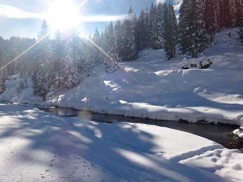 Scenic view of snow covered landscape