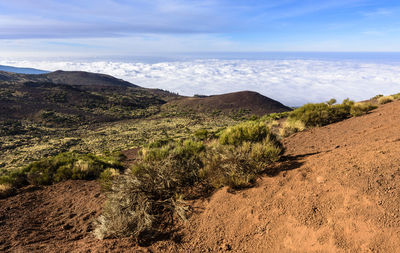 Scenic view of landscape against sky