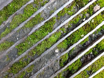 Mossy steel and rock