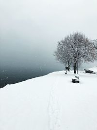 Snow covered land and trees on field during winter