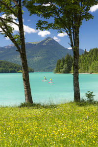 Mid distance view of people paddleboarding in lake