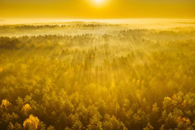 Scenic view of yellow field against sky at sunset