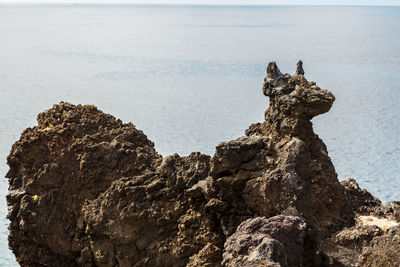  rock of volcanic origin that looks like a dog