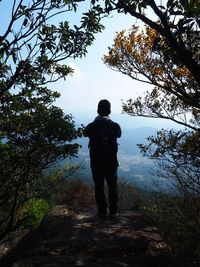 Rear view of man standing in forest