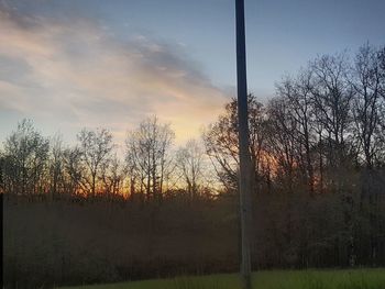 Bare trees on field against sky during sunset