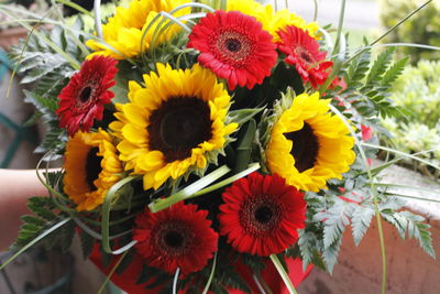 Close-up of multi colored flowering plants