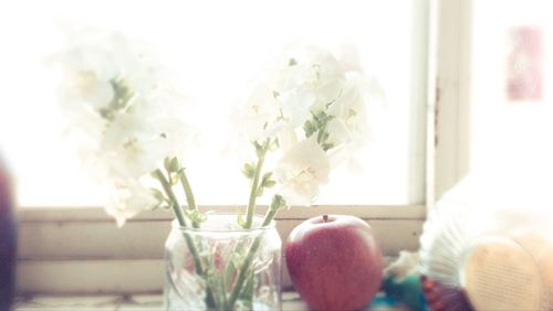 Close-up of flowers in vase on table