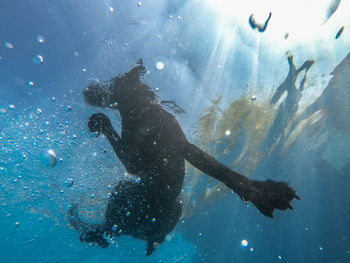 Low angle view of woman swimming in sea