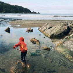 Rear view of a boy on rock at beach fishing with a net