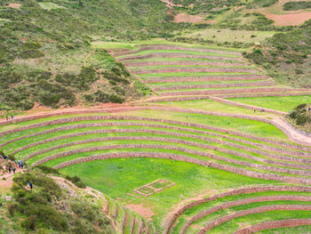 High angle view of agricultural field