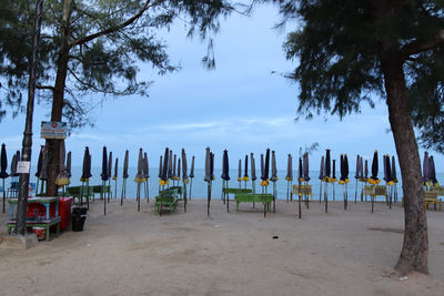 Wooden posts on beach against sky
