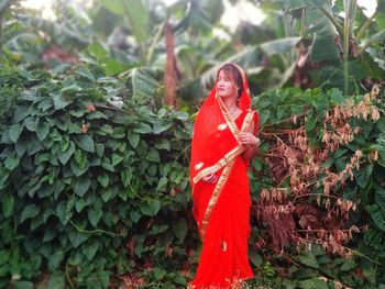 Young woman in sari looking away while standing against plants