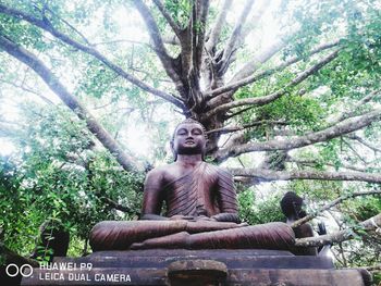 Low angle view of statue against trees