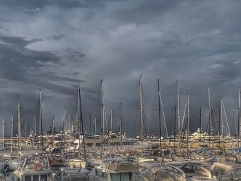 Sailboats moored at harbor